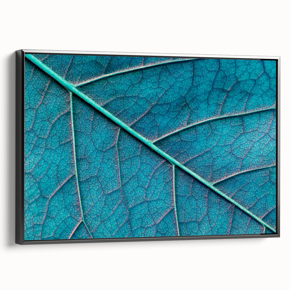 Black and white framed canvas featuring close-up of leaves, ideal for bedroom wall decor.