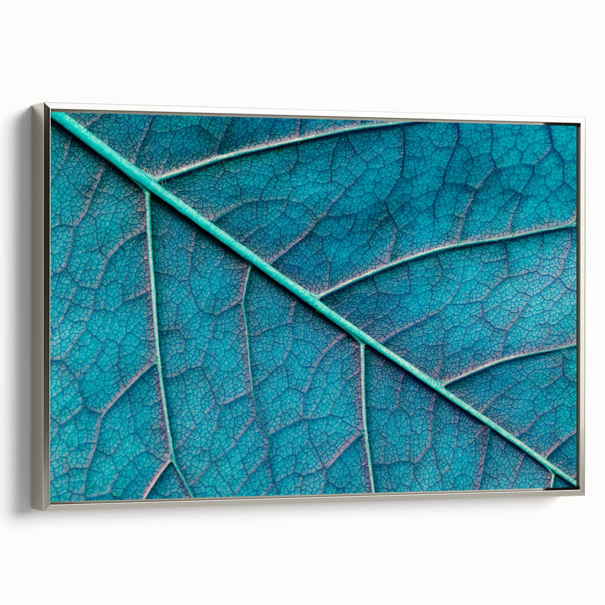 Framed canvas featuring close-up of leaves in muted green and silver, ideal for enhancing a minimalist decor.