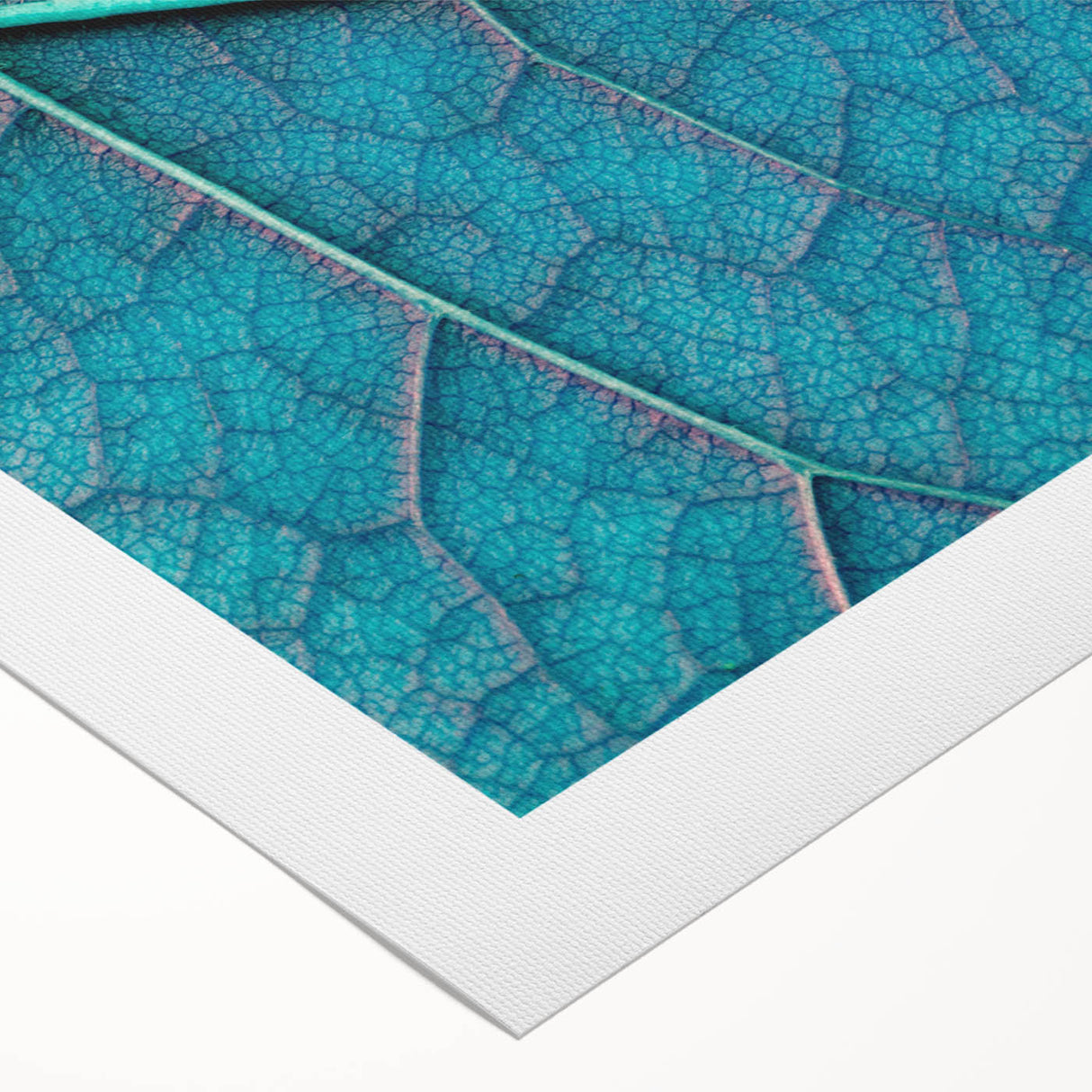 Art deco poster featuring close-up images of leaves in muted green and brown tones on rolled canvas.