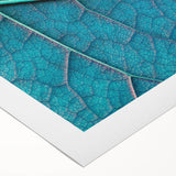 Art deco poster featuring close-up images of leaves in muted green and brown tones on rolled canvas.