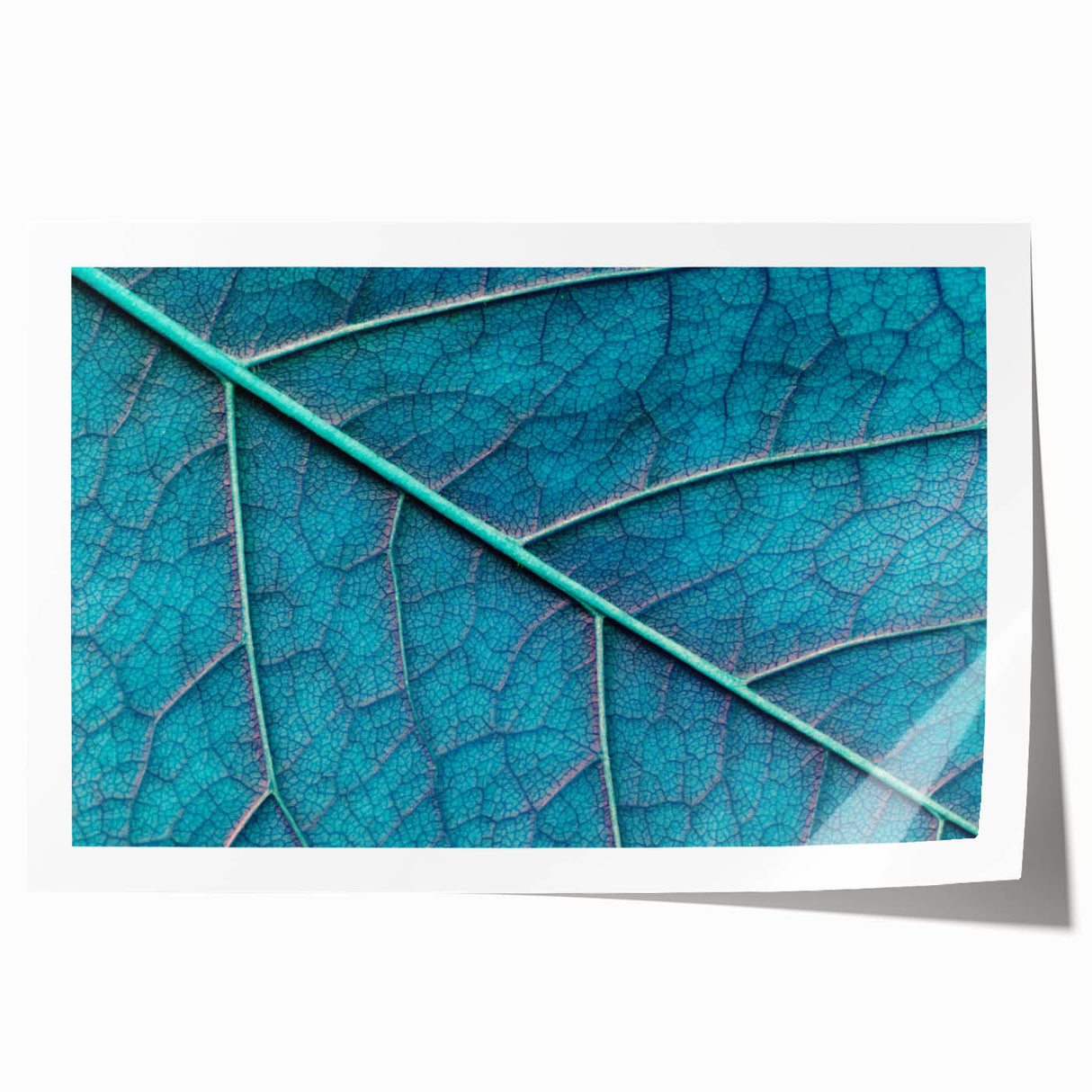 Close-up of green leaves on an extra large rolled canvas, suitable for art wall dining room or classy bathroom wall art.