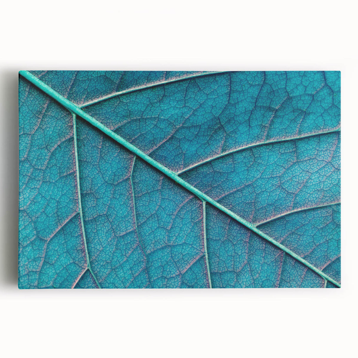 Close-up of leaves in black and white on stretched canvas, suitable for kitchen wall art.
