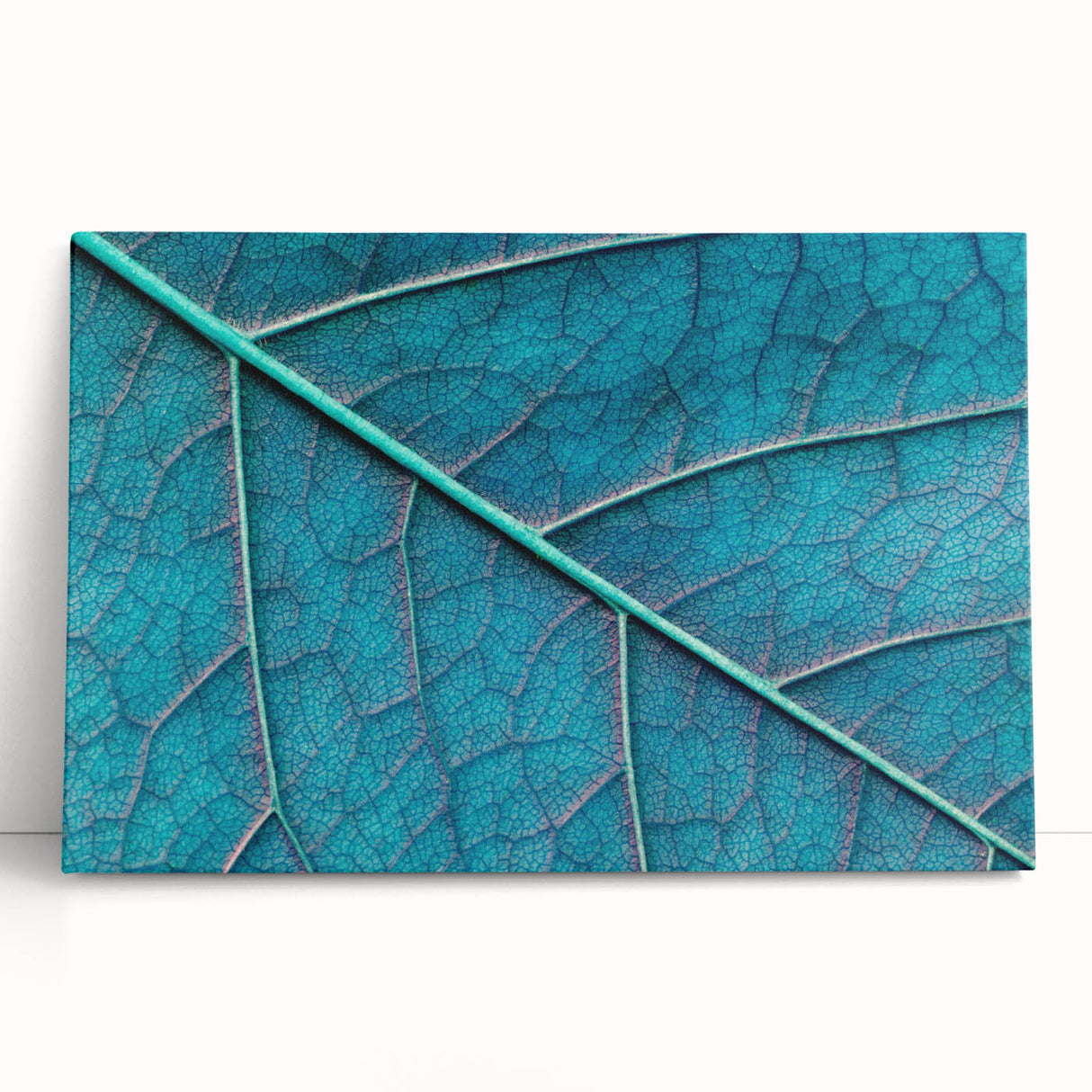 Black and white close-up photo of leaves on a stretched canvas, ideal for kitchen wall art or bedroom ambiance.