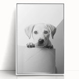Bathroom Wall Art - Playful Puppy on Toilet Roll Modern Decor