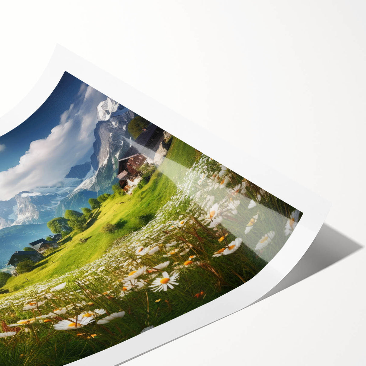 Extra large rolled print of line art flowers set against a muted backdrop, ideal for large living room wall art.