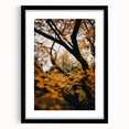 Extra large abstract art print featuring vibrant autumnal hues on textured canvas, framed in black.