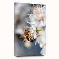 Large abstract wall art depicting vibrant spring colors on acrylic glass, ideal for bedroom or dining room decor.