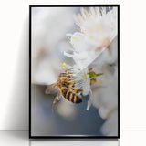 Large abstract wall art featuring swirling spring hues in a mid-century modernist style, acrylic print in a black frame.