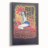 Red Hot Chili Peppers Nirvana Concert Poster | Vintage Rock Art