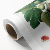 Common Fig Botanical Art - Romanticism Print by Giorgio Gallesio