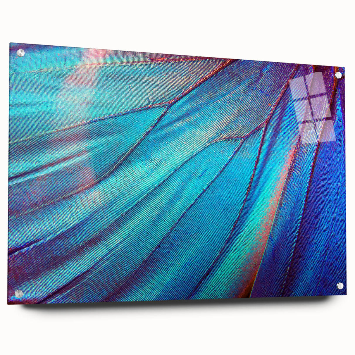 Close-up of green leaves on large acrylic glass, ideal for dining room or bedroom wall art.