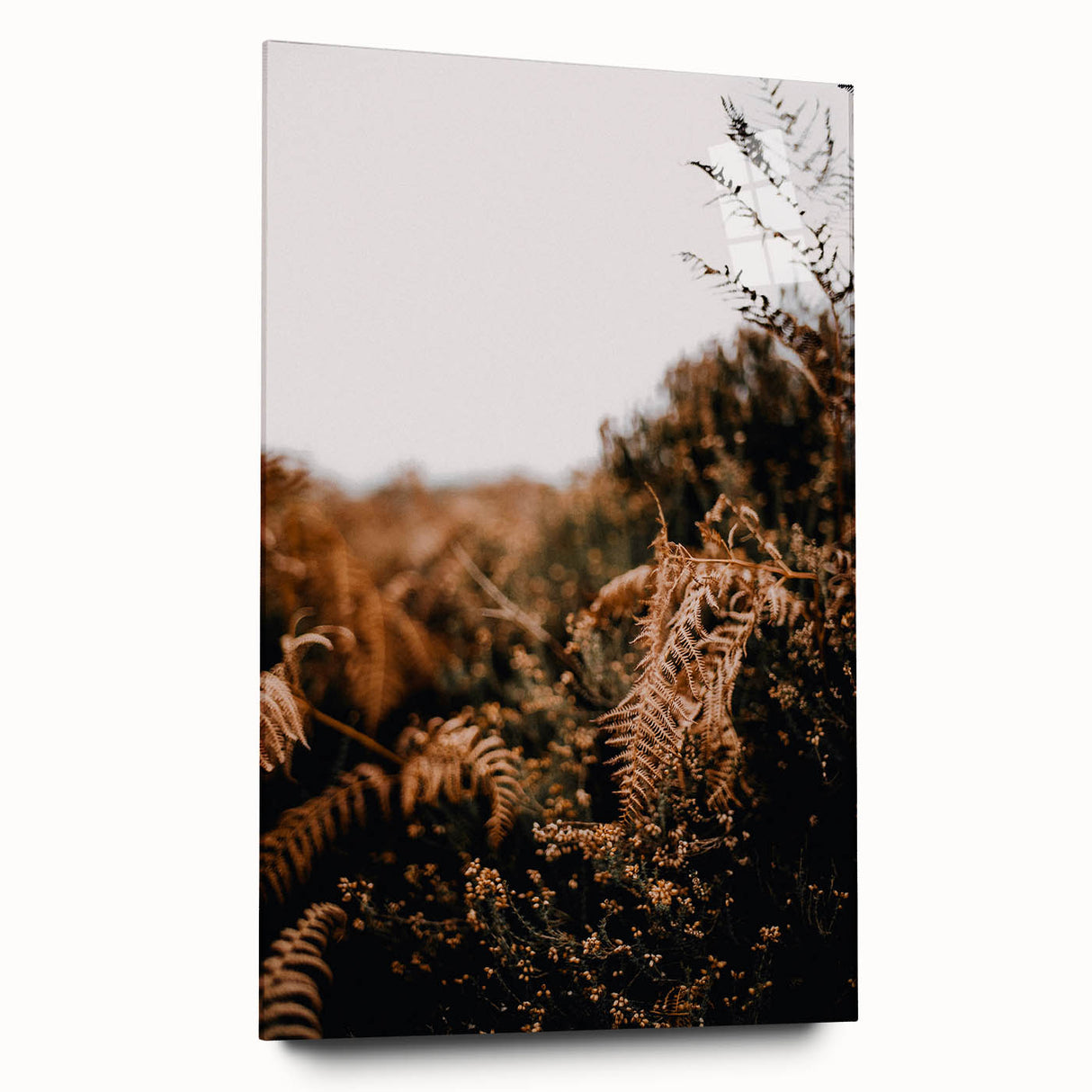 Large abstract wall art in autumnal hues on acrylic glass, ideal for bedroom or dining room decor.