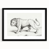 Lion Sketch by Jean Bernard - Romanticism Black and White Wall Art