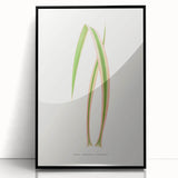 Yucca Aloefolia Leaf - Romantic Botanical Canvas Wall Art