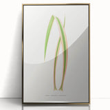Yucca Aloefolia Leaf - Romantic Botanical Canvas Wall Art