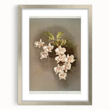 Orchid Botanical Art - Odontoglossum Romanticism Canvas Print