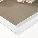 Orchid Botanical Art - Odontoglossum Romanticism Canvas Print