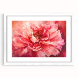 Fiery Bloom Elegance - Modern Living Room Canvas Wall Art
