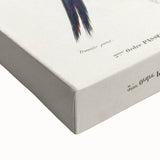 Black-Throated Magpie Jay - Romanticism Bird Illustration Wall Art