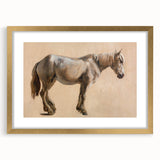 Study of a Grey Horse - Romanticism Art by Jacques-Laurent Agasse