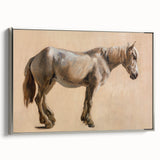 Study of a Grey Horse - Romanticism Art by Jacques-Laurent Agasse