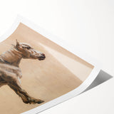 Study of a Grey Horse - Romanticism Art by Jacques-Laurent Agasse