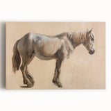 Study of a Grey Horse - Romanticism Art by Jacques-Laurent Agasse