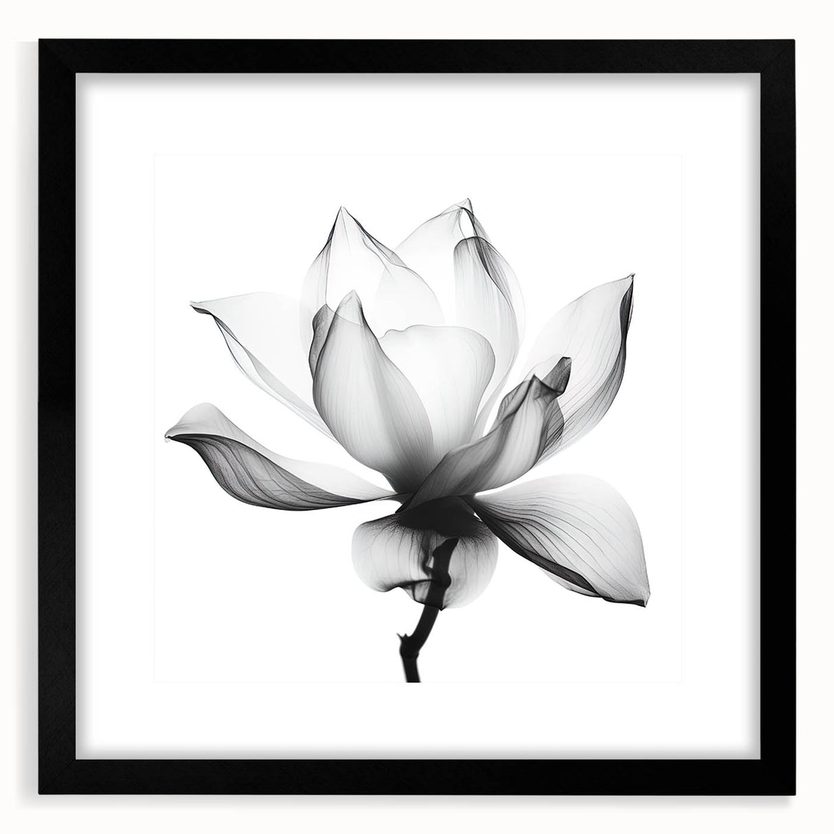 Monochrome Lotus Elegance - Modern Living Room Canvas Wall Art