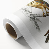 Barn Owl & Nightjar - Romanticism Bird Illustration by Charles d'Orbigny