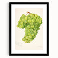 Extra large abstract art print featuring vibrant, colorful fruit designs on a textured canvas, framed in black.