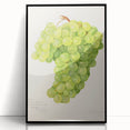 Large abstract wall art featuring assorted fruits in vibrant colors on black acrylic, framed, ideal for kitchen decor.