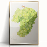 Large art print of assorted fruits in vibrant colors on a gold-framed acrylic, styled in mid-century modernist art.