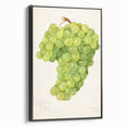 Black and white framed canvas featuring a vintage poster art style landscape of fruits, ideal for bedroom wall decor.
