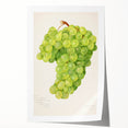 Rolled print of colorful fruit and floral arrangement, ideal for art wall dining room or classy bathroom ambiance.