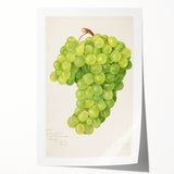 Rolled print of colorful fruit and floral arrangement, ideal for art wall dining room or classy bathroom ambiance.