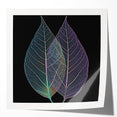 Extra large glossy photo print of close-up green leaves, ideal for art wall dining room or classy bathroom wall art.