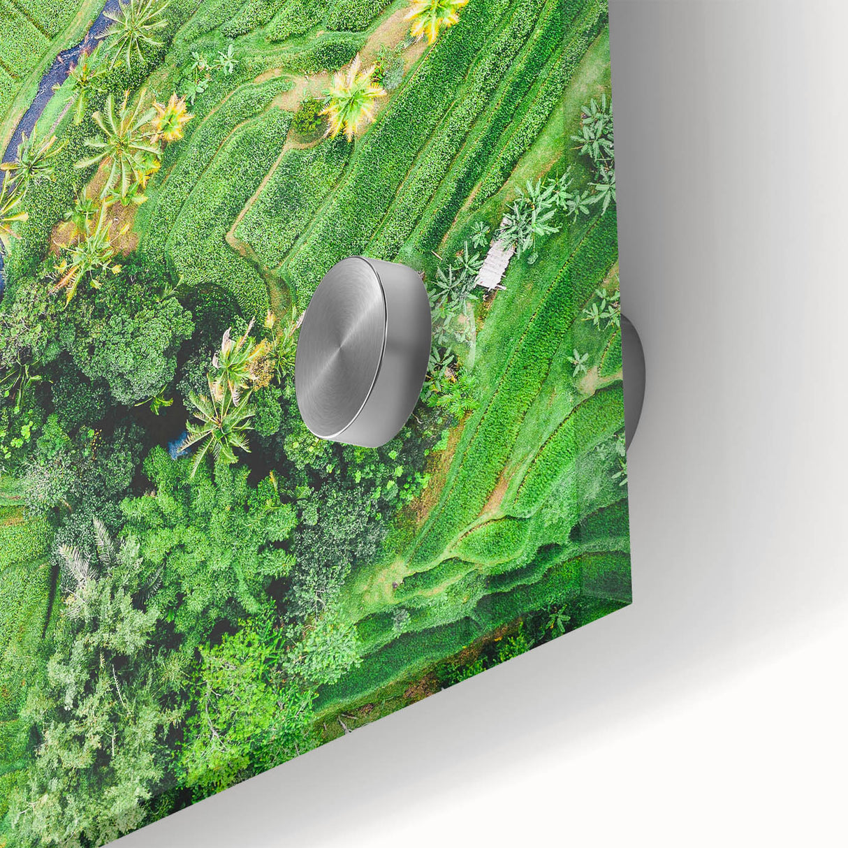 Large abstract wall art in pastel shades on acrylic glass, featuring mid-century modernist design.