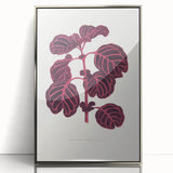 Romanticism Art: "Pink Achyranthes Leaf" Classic Botanical Print