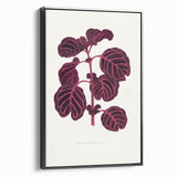 Romanticism Art: "Pink Achyranthes Leaf" Classic Botanical Print