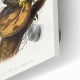 Romanticism Art: "Northern Mockingbird & Snake" Wildlife Canvas Print