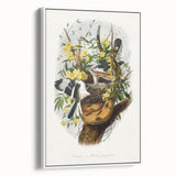 Romanticism Art: "Northern Mockingbird & Snake" Wildlife Canvas Print