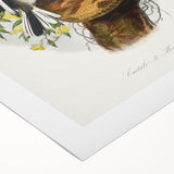 Romanticism Art: "Northern Mockingbird & Snake" Wildlife Canvas Print