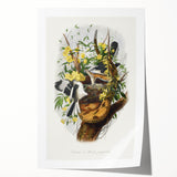 Romanticism Art: "Northern Mockingbird & Snake" Wildlife Canvas Print