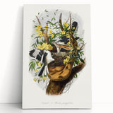 Romanticism Art: "Northern Mockingbird & Snake" Wildlife Canvas Print