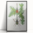 Romanticism Art: "Stag Beetle" Wildlife Botanical Canvas Print
