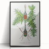 Romanticism Art: "Stag Beetle" Wildlife Botanical Canvas Print