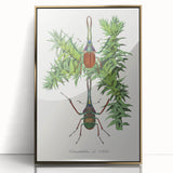 Romanticism Art: "Stag Beetle" Wildlife Botanical Canvas Print