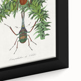 Romanticism Art: "Stag Beetle" Wildlife Botanical Canvas Print