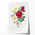 Neoclassical Art Print of Hellebore and Oeillet by Redouté - Floral Decor