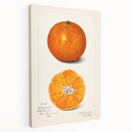 Large canvas print featuring assorted fruits in vibrant colors, ideal for kitchen wall art.
